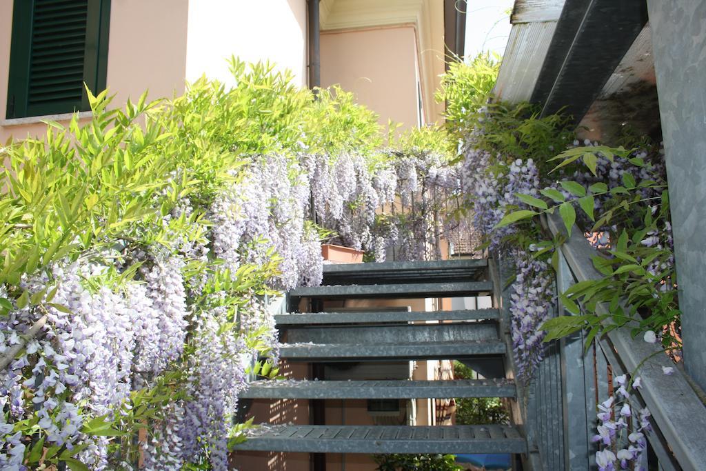 Hotel Villa Grazia Cesenatico Dış mekan fotoğraf